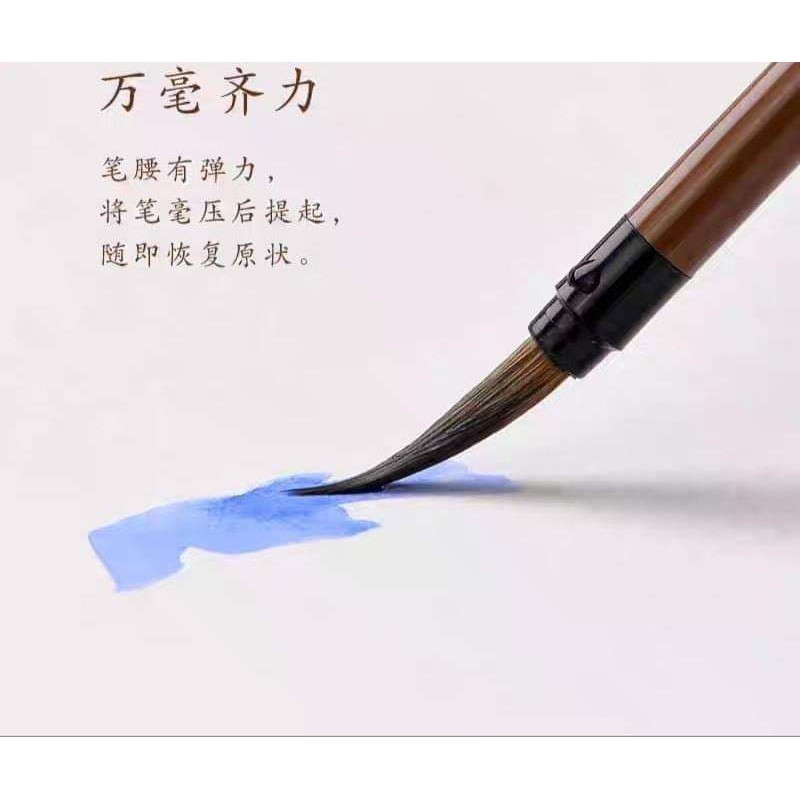 Bút tiểu lông sói